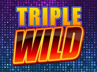 iWild Casino screenshot
